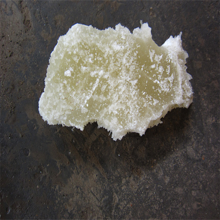 靠逼肏骚逼逼